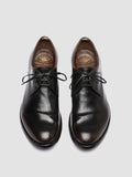 ANATOMIA 87 - Brown Leather Derby Shoes