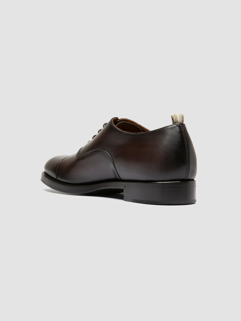 CONSULTANT 003 - Brown Leather Oxford Shoes